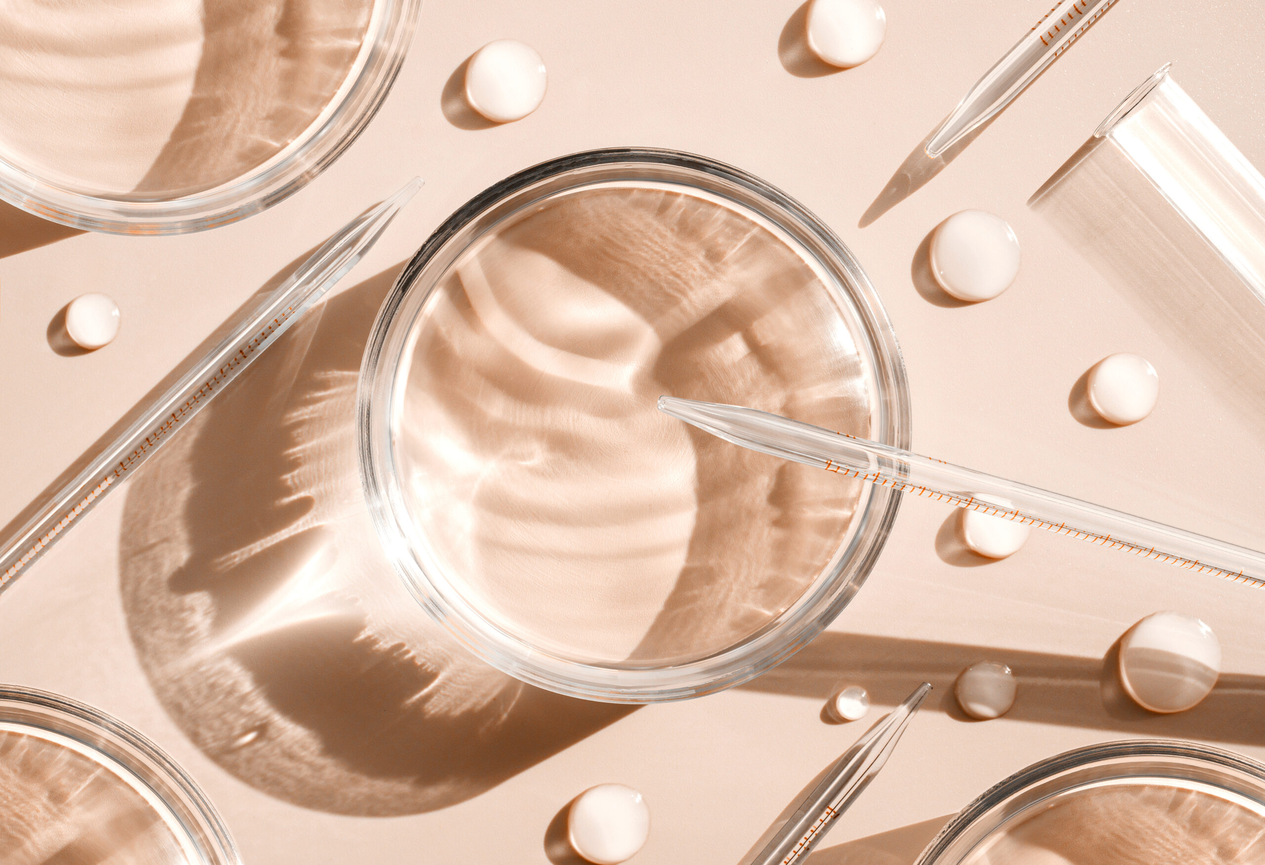 Cosmetic research, serum samples in petri dishes