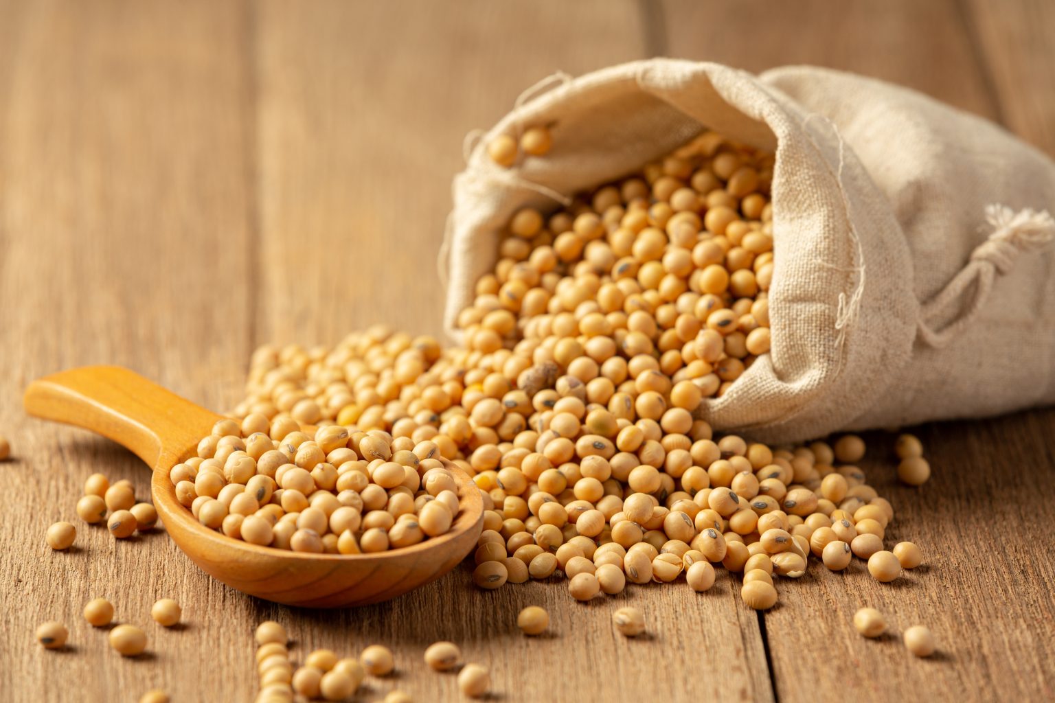 Soybean Sauce Soybean Wooden Floor Soy Sauce Food Nutrition Concept 1536x1024