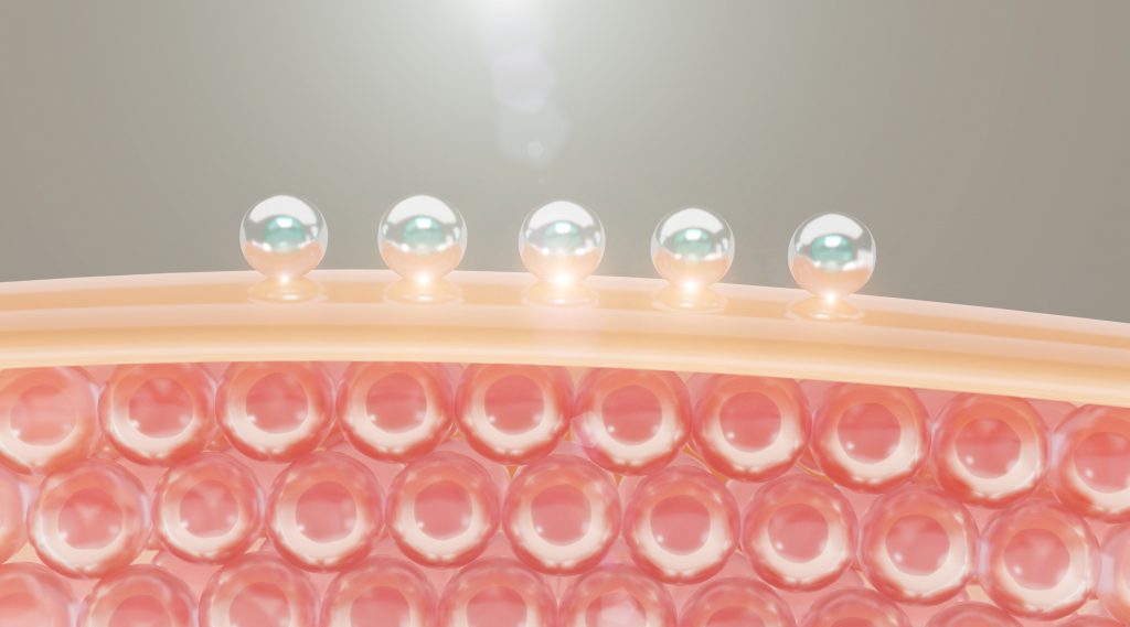 Pueraria Mirifica: The Natural Secret to Boosting Skin Elasticity and Youthful Glow How Pueraria Mirifica Enhances Skin Elasticity