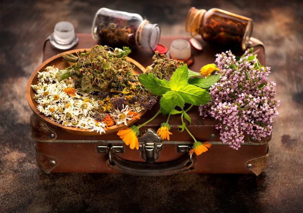 healing medical herbs and flowers 2025 02 25 00 03 28 utc (1)
