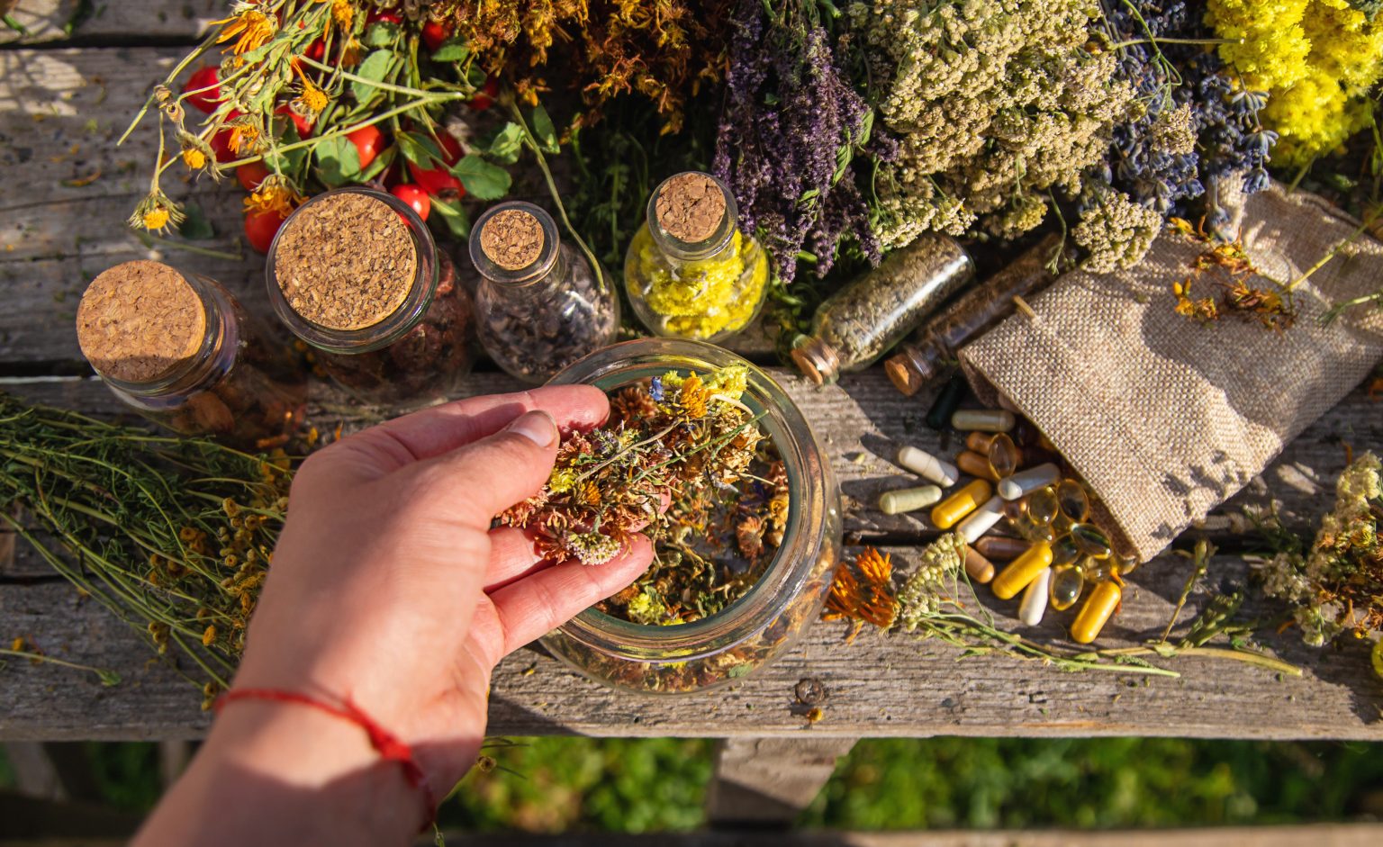 medicinal herbs in hands selective focus 2024 12 19 13 48 49 utc (1)