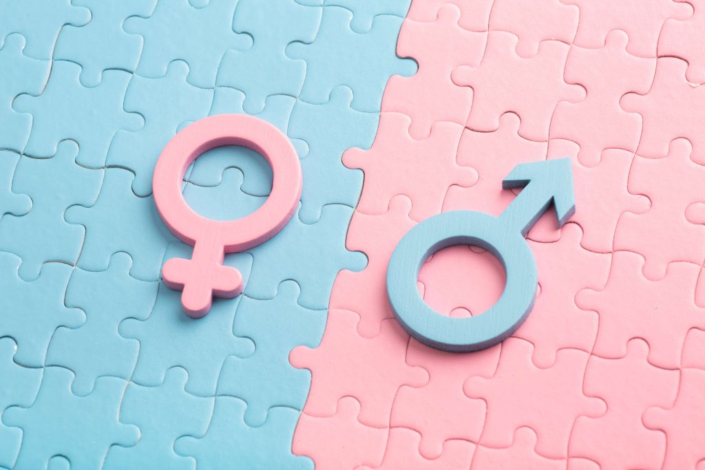 masculine and feminine lie on puzzles concept of 2025 11 24 10 05 00 utc (1)