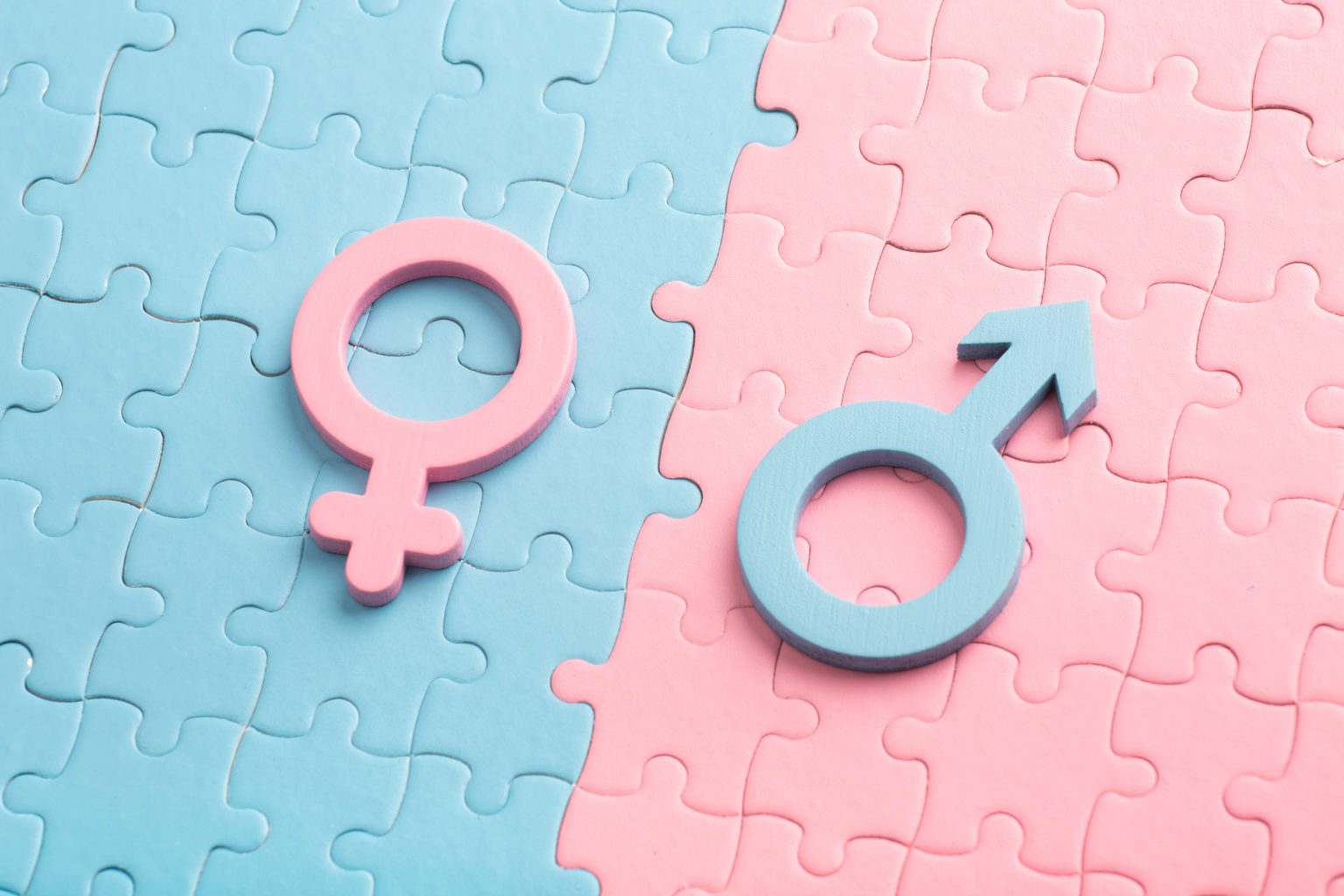 masculine and feminine lie on puzzles concept of 2025 11 24 10 05 00 utc (1)