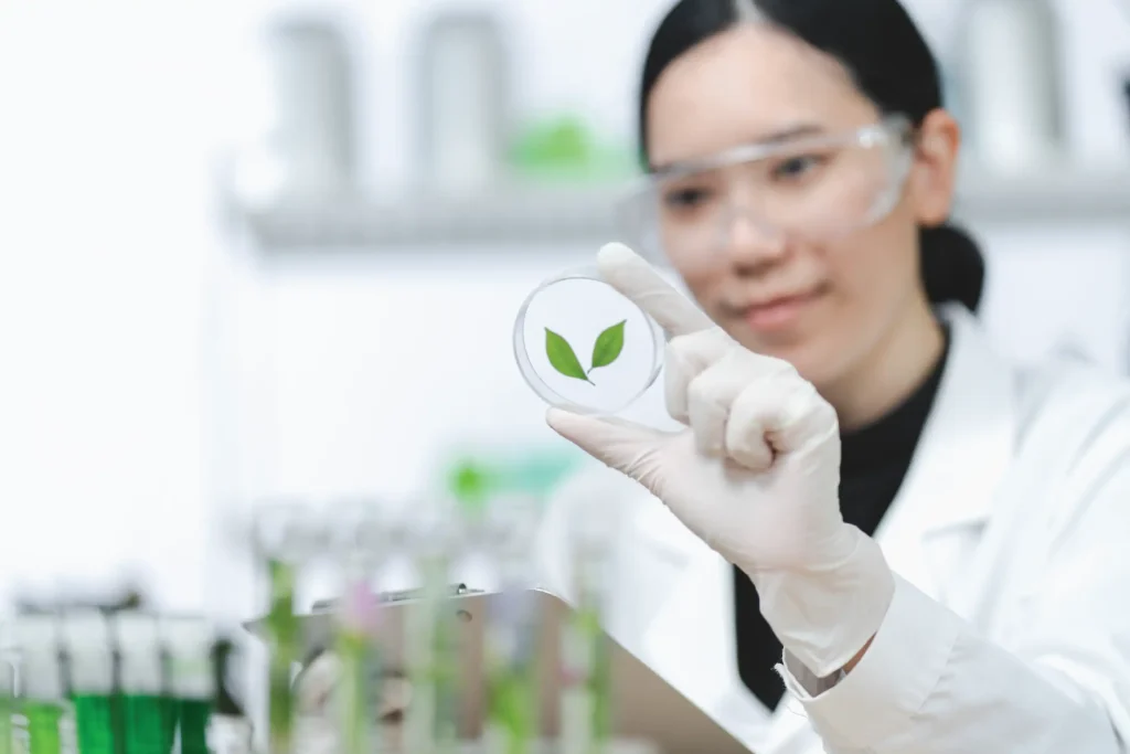 photo for website stherb 04