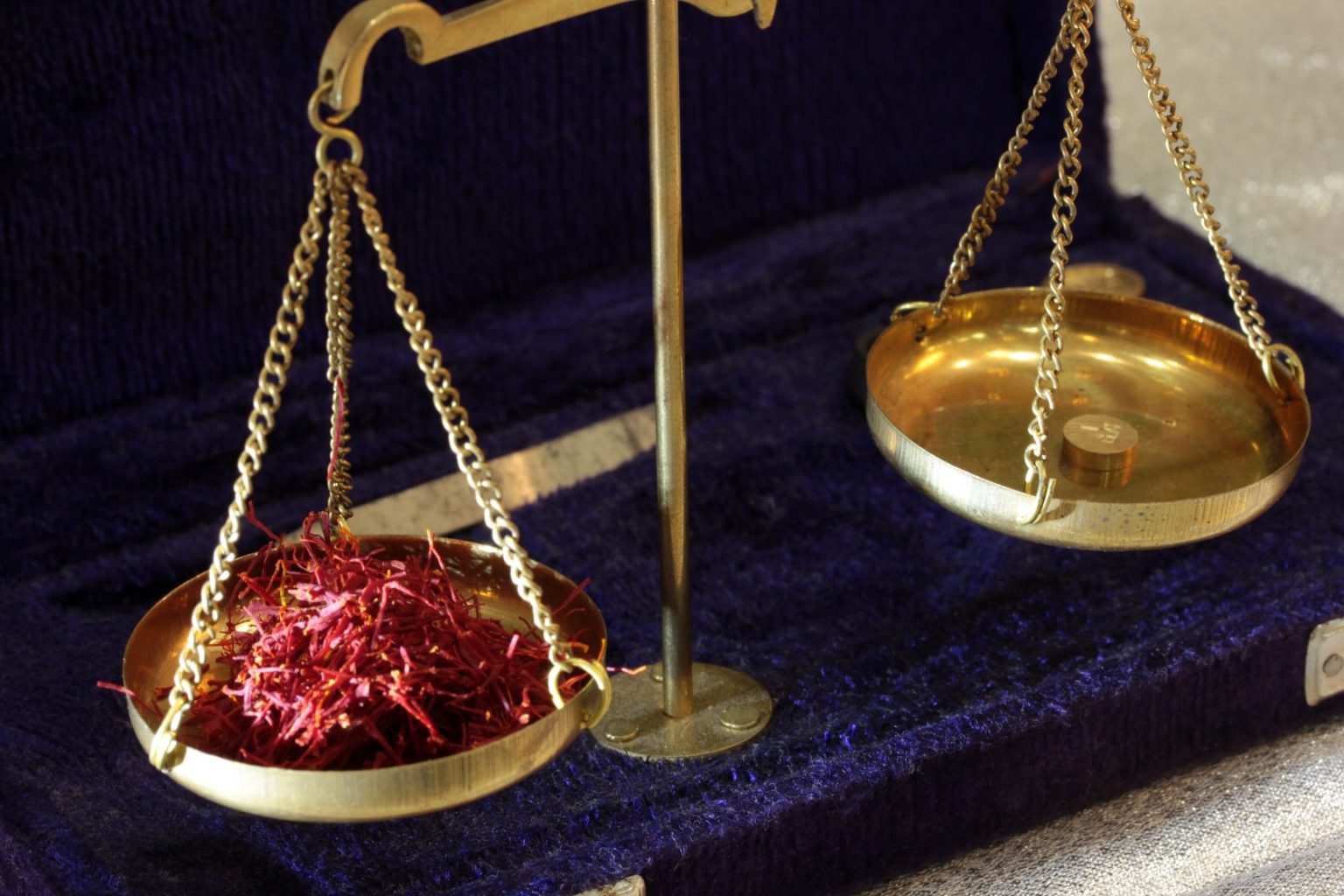 Balance scale with herbs representing safety and dosage in herbal wellness.
