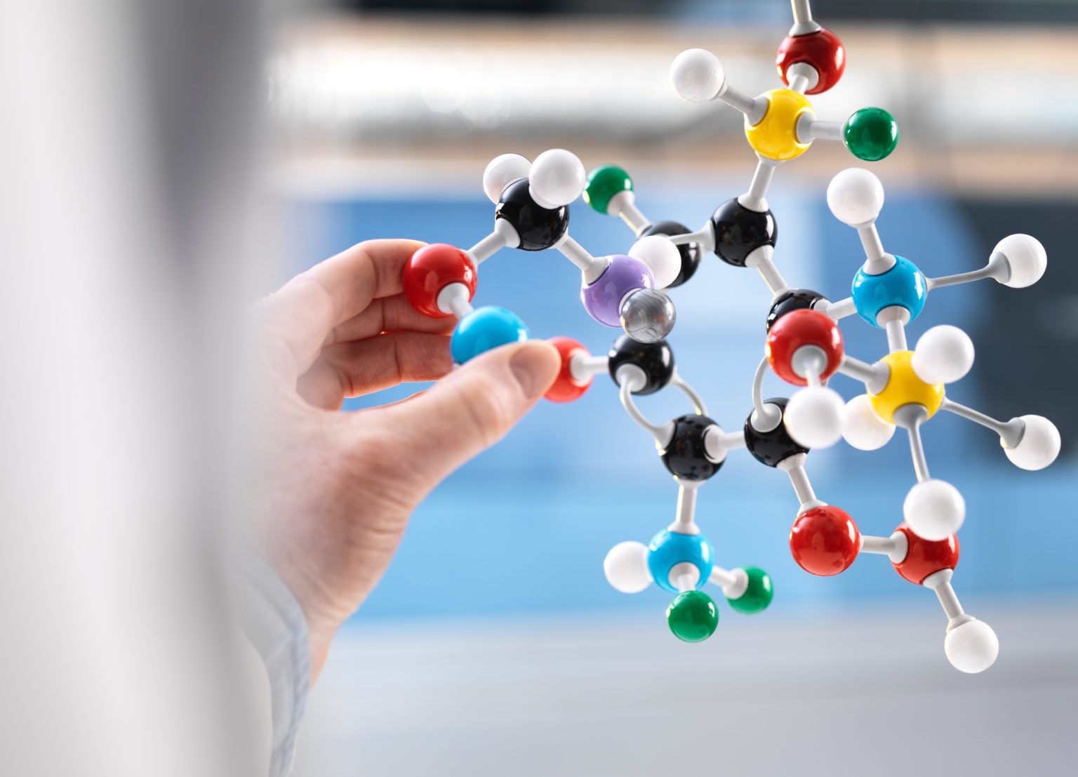 Scientist holding a molecular model representing the active compounds in Pueraria mirifica.