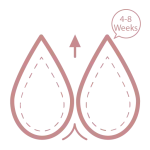 Natural breast firming treatment results at 4 to 8 weeks