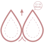 Natural breast firming treatment results at 12 to 16 weeks