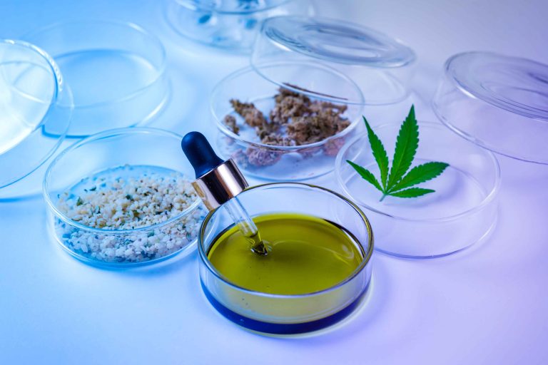 cannabis oil and hemp leaves in laboratory under n 2026 01 07 01 29 54 utc (1)
