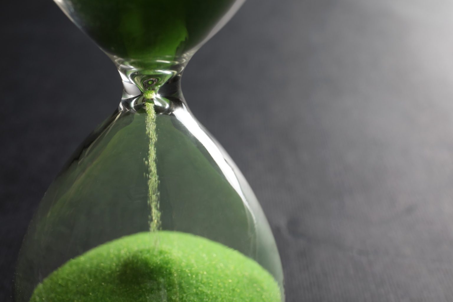 Timeline of herbal supplement effectiveness and biological adaptation phases