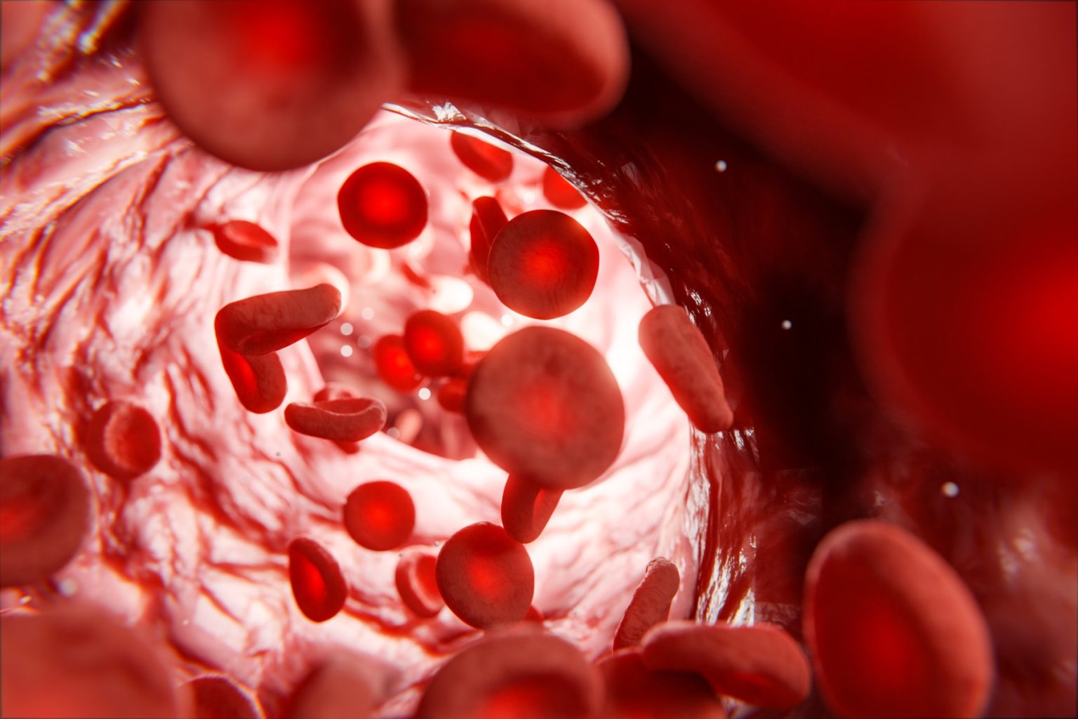 red blood cells in vein