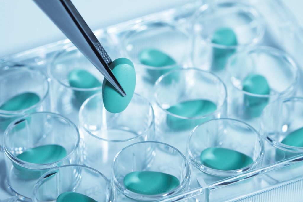 Scientist testing herbal supplement bioavailability and absorption in a laboratory