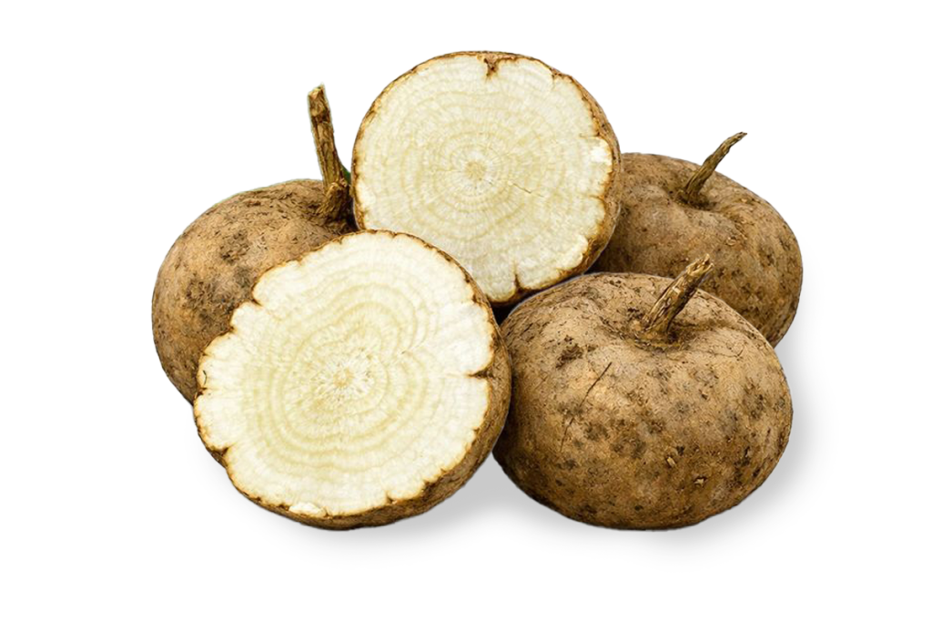 Pueraria Mirifica Shardow 1200x800 1024x683