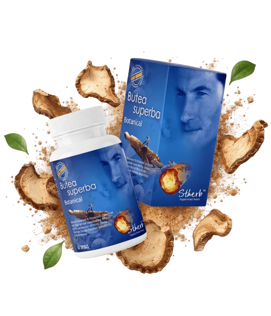 St.herb Butea Superba Botanical capsules and box with dried Butea Superba root
