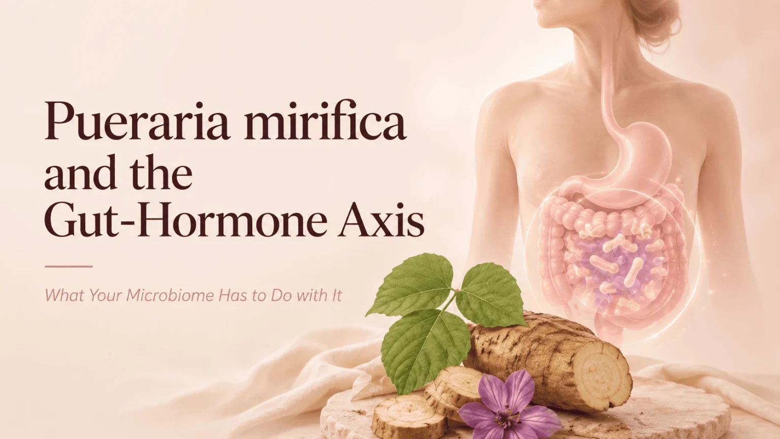 pueraria mirifica and the gut hormone