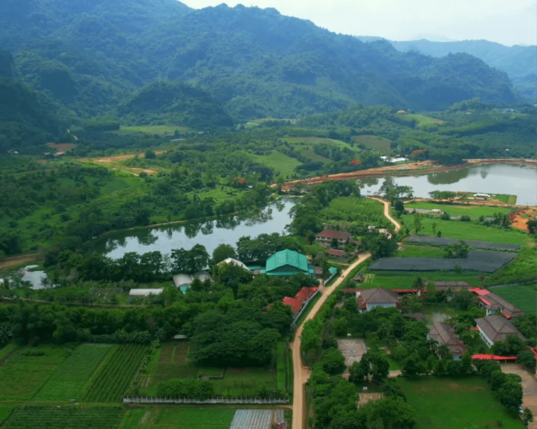 Aerial view of the St.Herb organic plantation among green hills