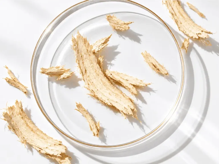 Dried Pueraria Mirifica root slices in a glass dish for research